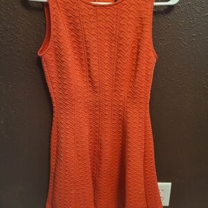 The Limited Coral Fit & Flare Dress